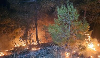 Adana’da 2 günde 10 orman yangını çıktı: ‘İnsan eli’ uyarısı