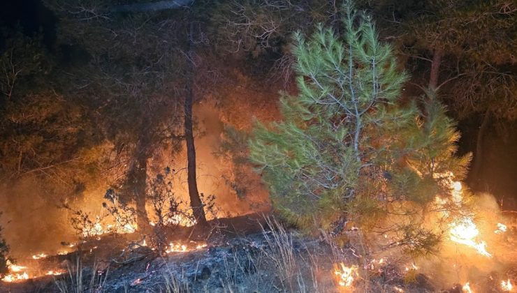 Adana’da 2 günde 10 orman yangını çıktı: ‘İnsan eli’ uyarısı