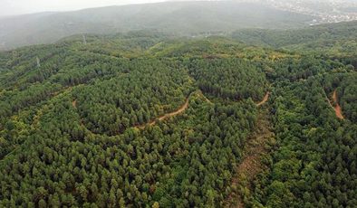 Ankara’da ormanlara giriş yasaklandı