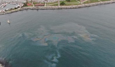 Artan kirlilik ve ısınma Marmara Denizi’ni oksijensiz bırakıyor